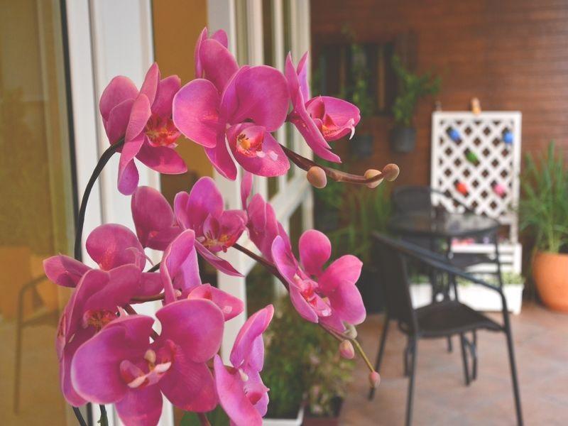 Seedling House Pattaya Luaran gambar