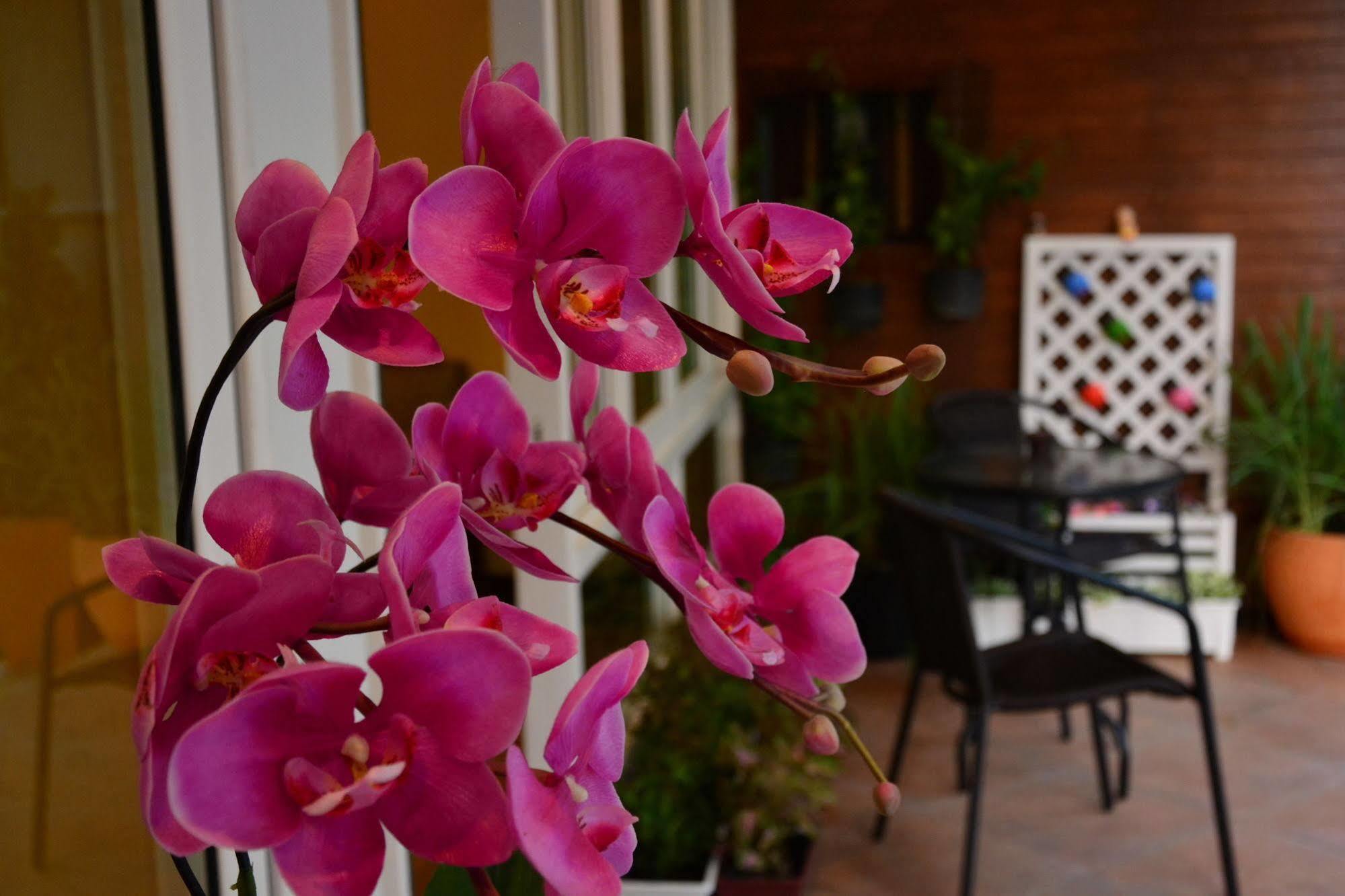 Seedling House Pattaya Luaran gambar